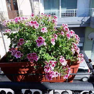 Apartament Sikania, Syrakuzy